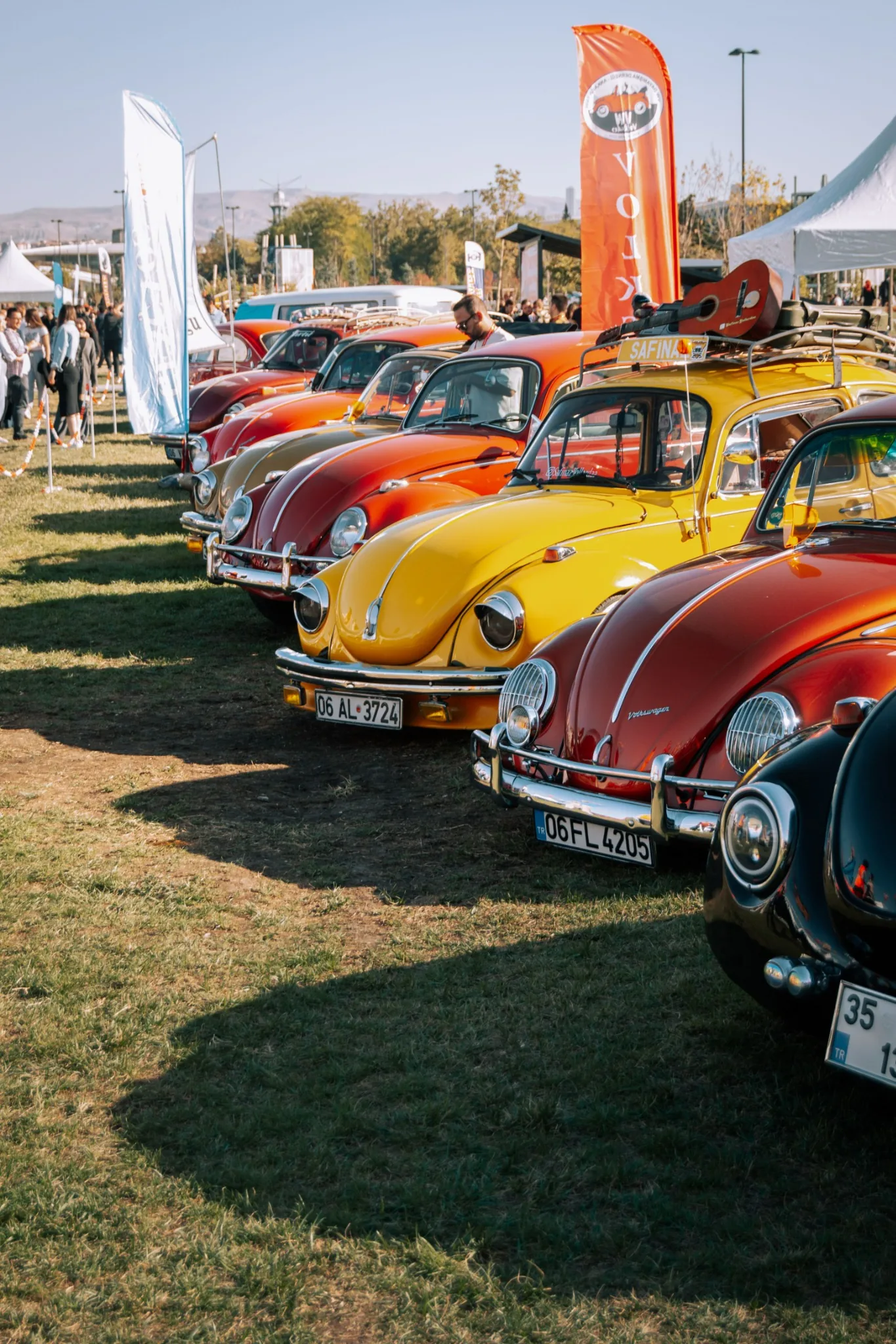 A row of colourful vintage cars at an outdoor gathering