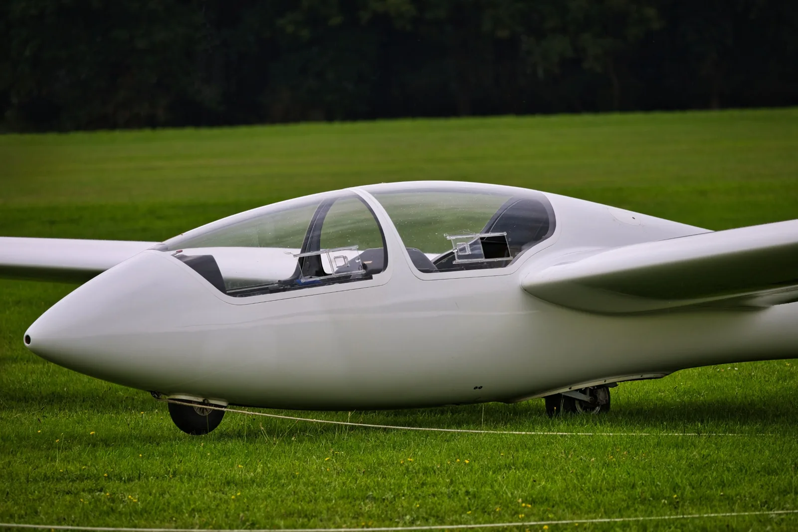 A white glider parked on grass in front of a mountain